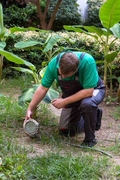 <img src="landscape.jpg" alt="land scape lighty" /> 